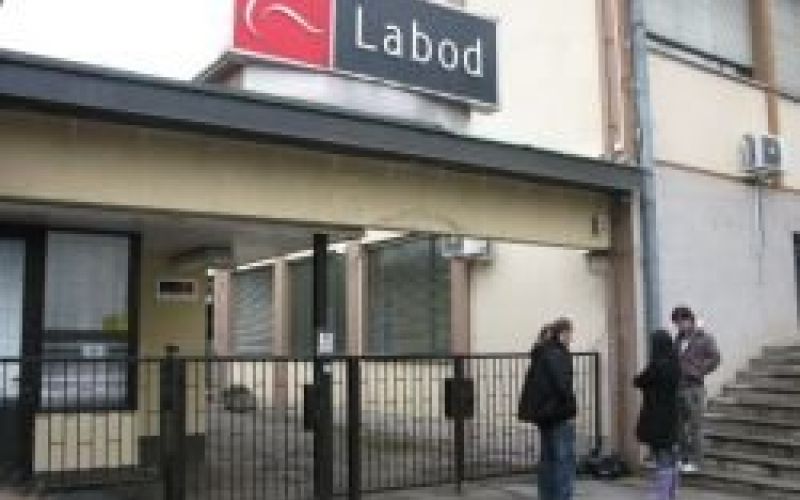 labod4.jpg