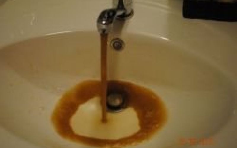 kava_11.jpg