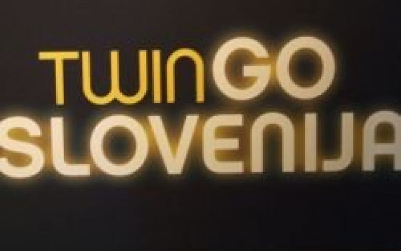 twin_go.jpg