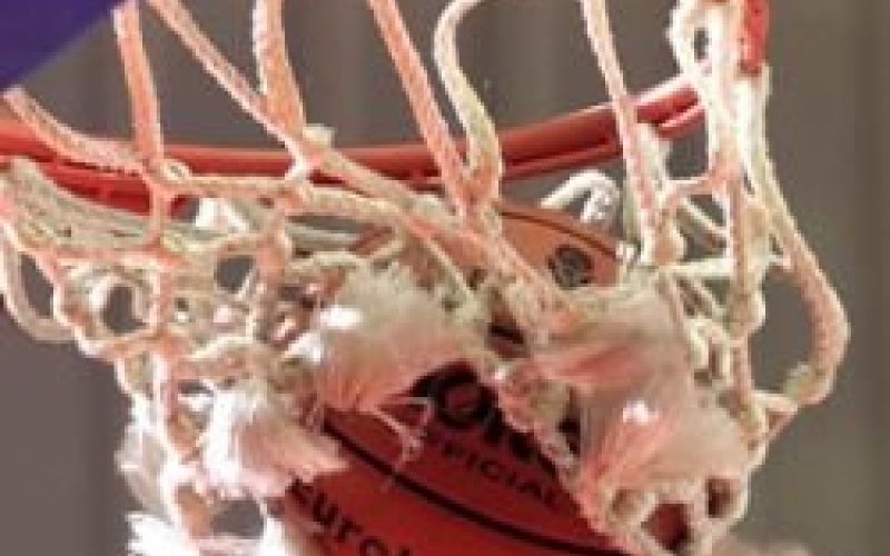basket4.jpg