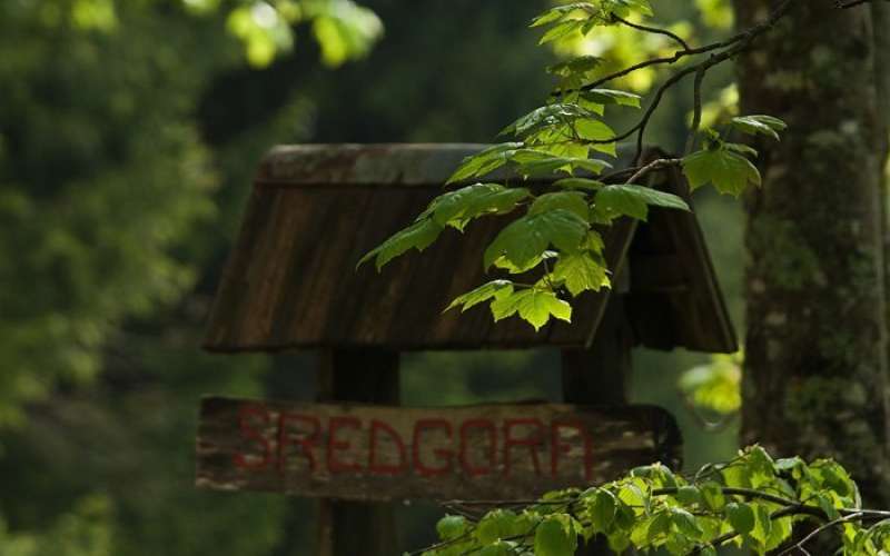 gora_001.jpg