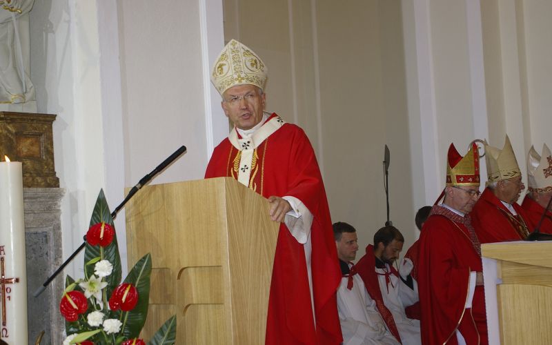 _igp8100.jpg