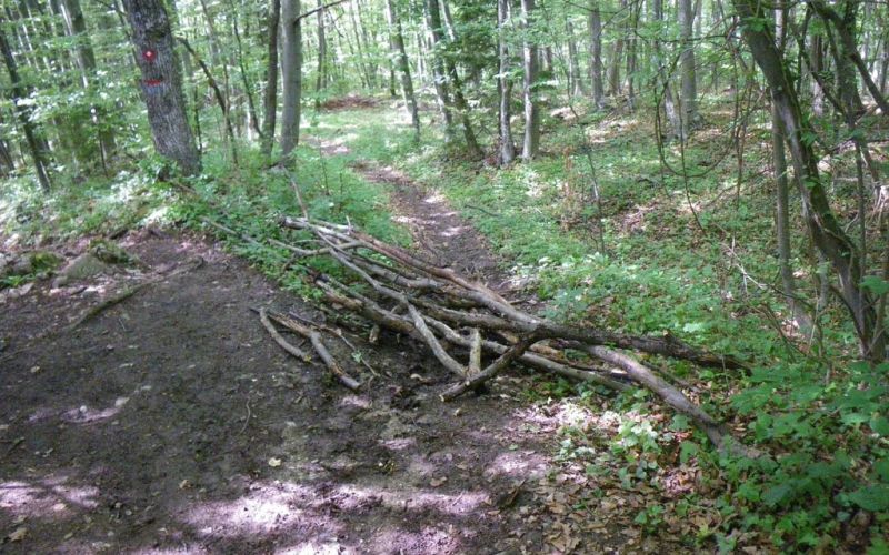 gorjanci_poti.jpg