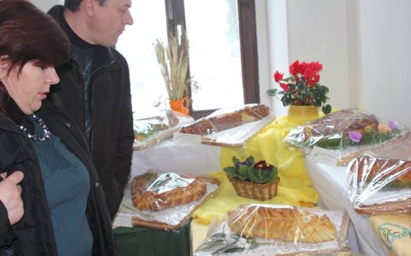 pletenice_precna_2012001.jpg