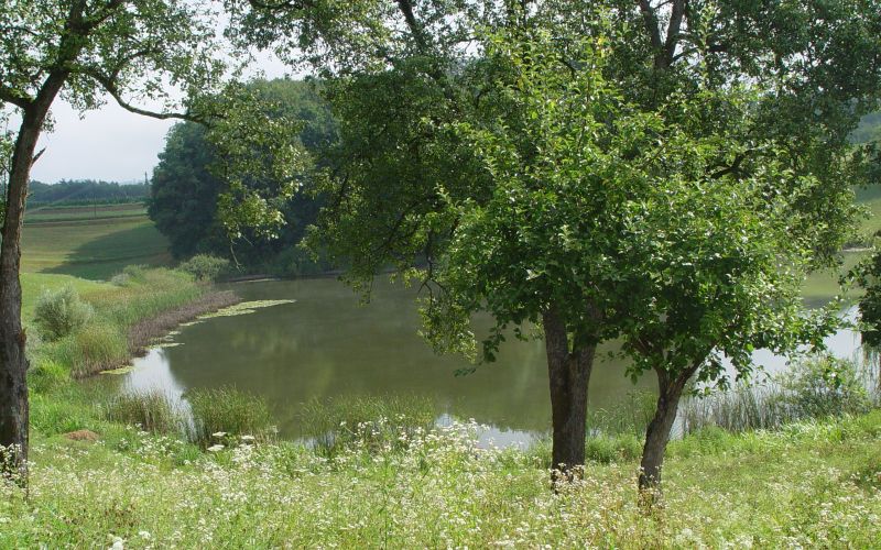 stritovsko_jezero.jpg