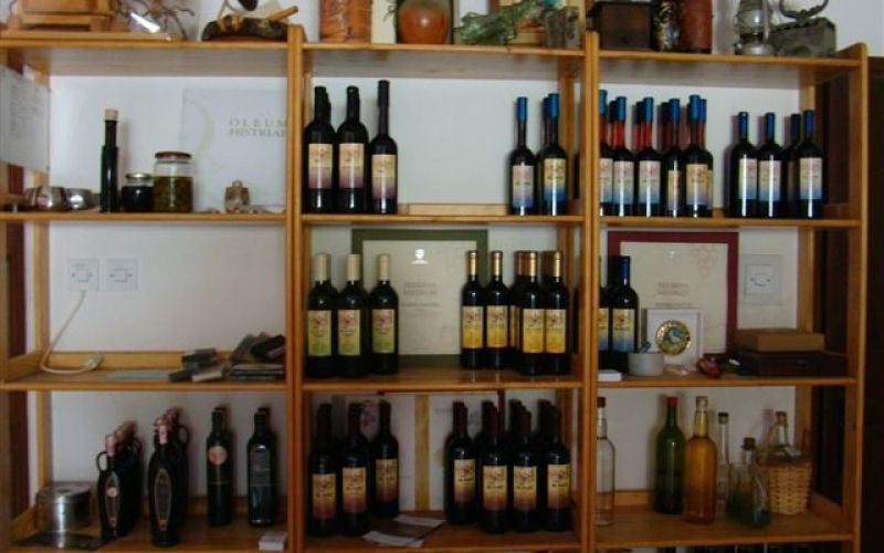 vinar_001.jpg