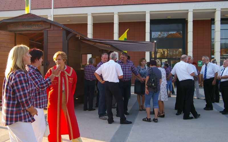 vinograd001.jpg