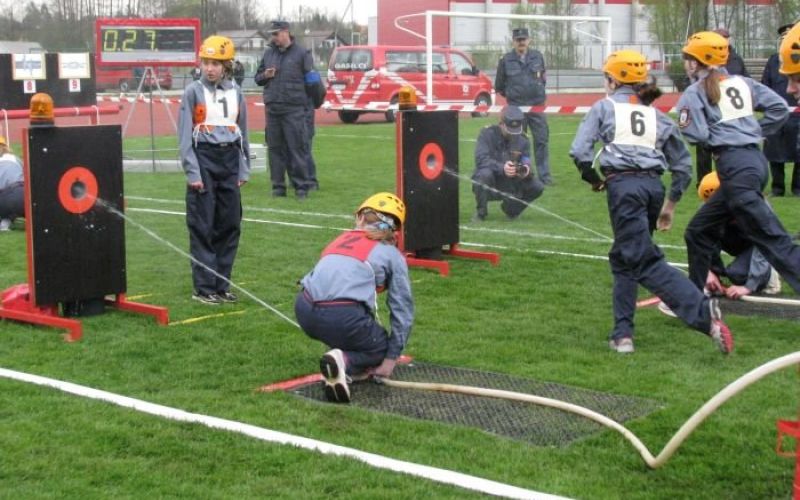 mladinke_pgd_zbilje_2011.jpg