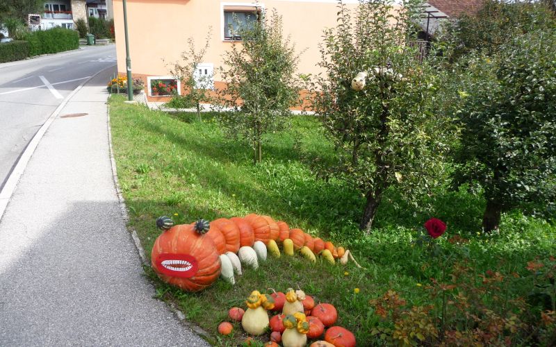 bu__ni_aran__maji_2012_110.jpg