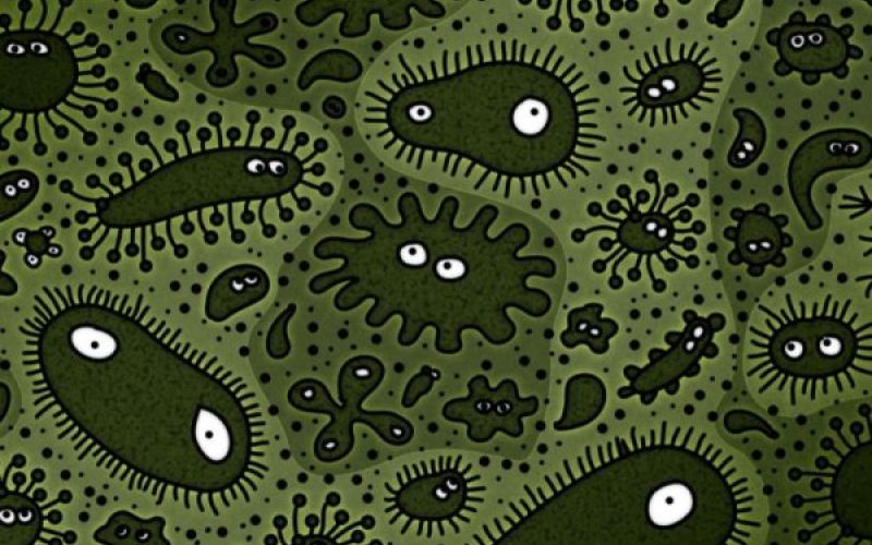 uvodna