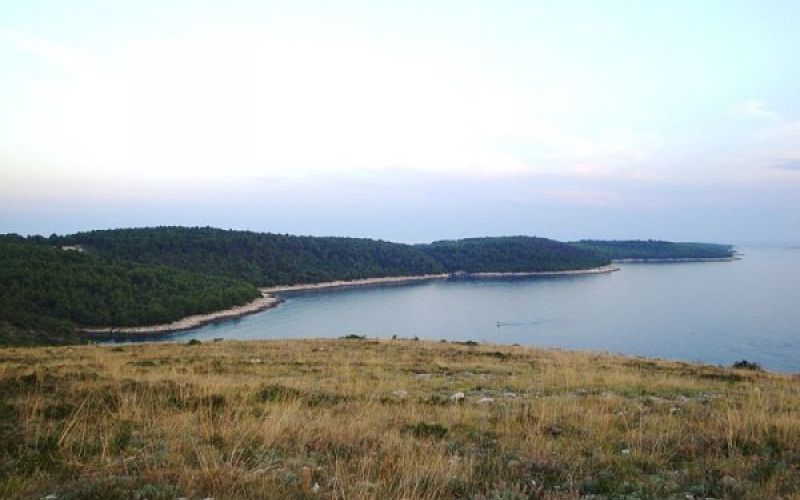 uvodna