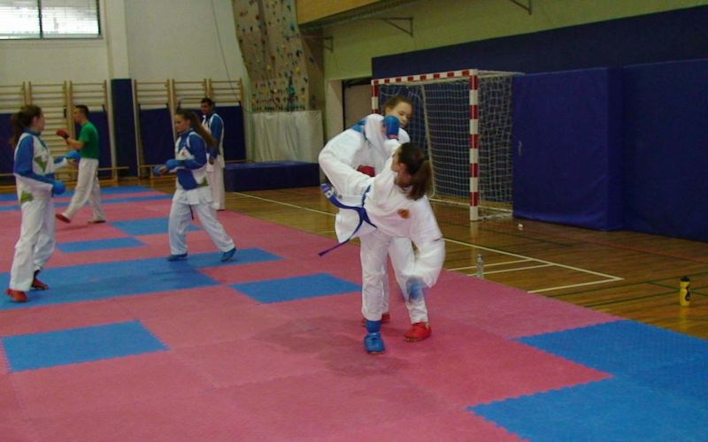 z_karate_001.jpg