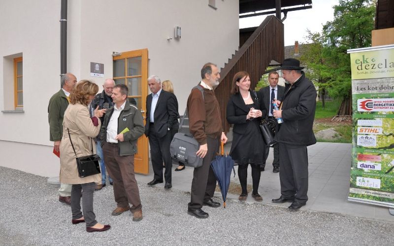 les_kot_dobrina_21_ekodezela.jpg