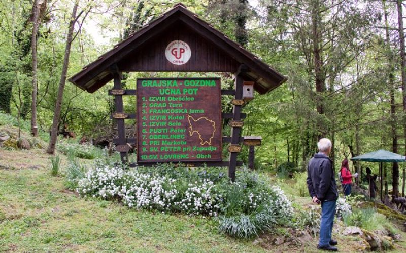 dpz_001.jpg