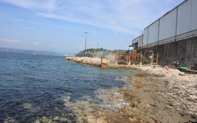 pasja plaža, izola