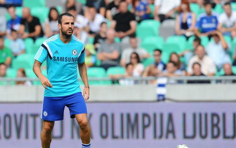 fabregas_2574 gw.jpg