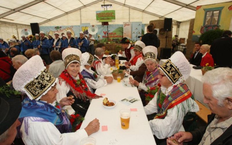 uvodna