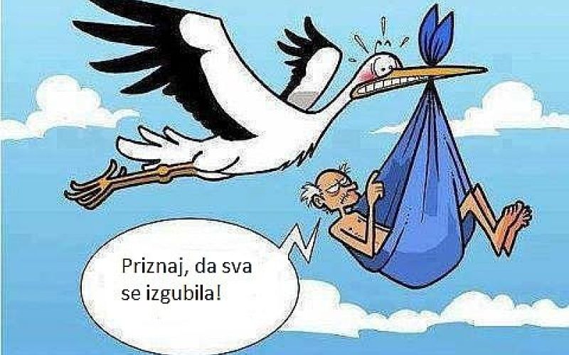 Karikatura - Priznaj da sva se izgubila.jpg