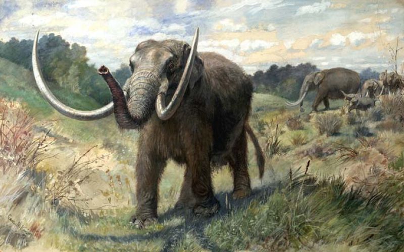 Mastodon.jpg