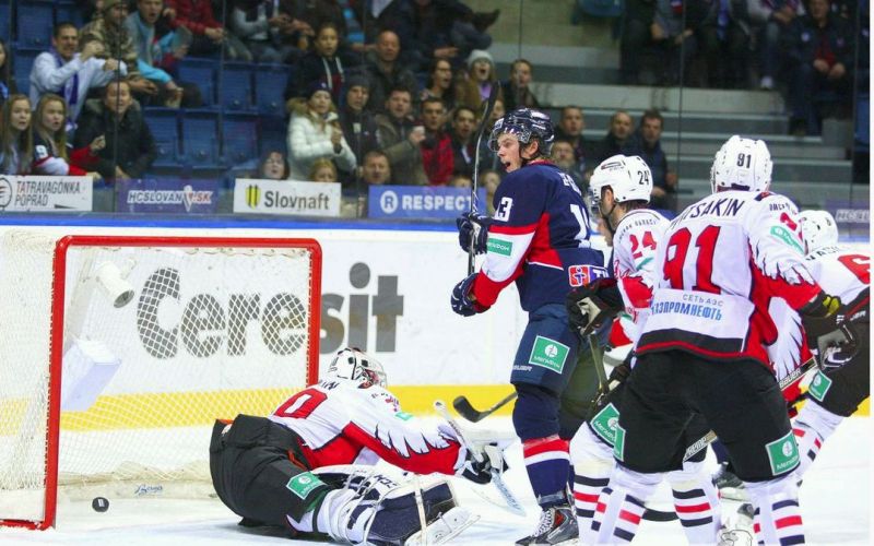 jeglic avangard vszi.jpg
