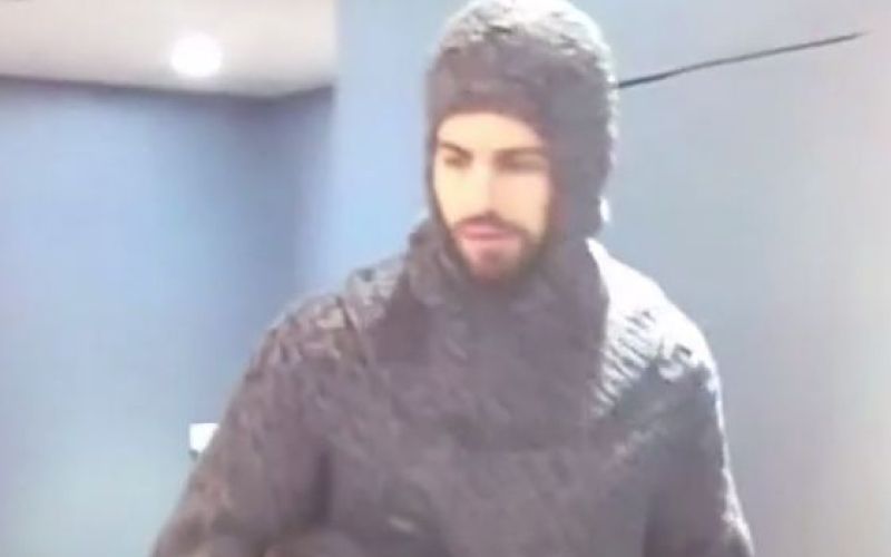 pique vszi.jpg