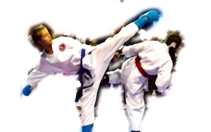 z_karate_01.jpg