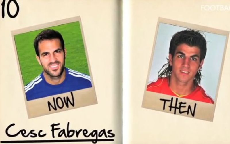 cesc vszi.jpg