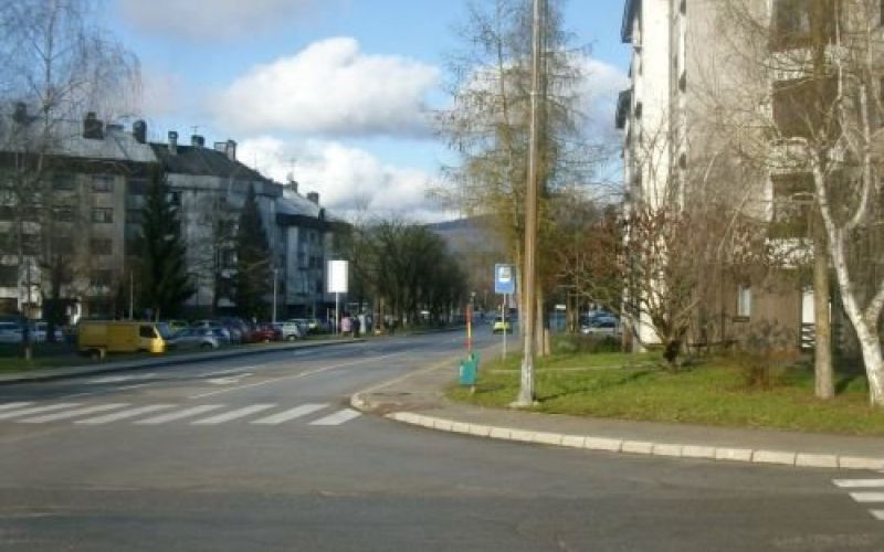zastave_lokalno.jpg