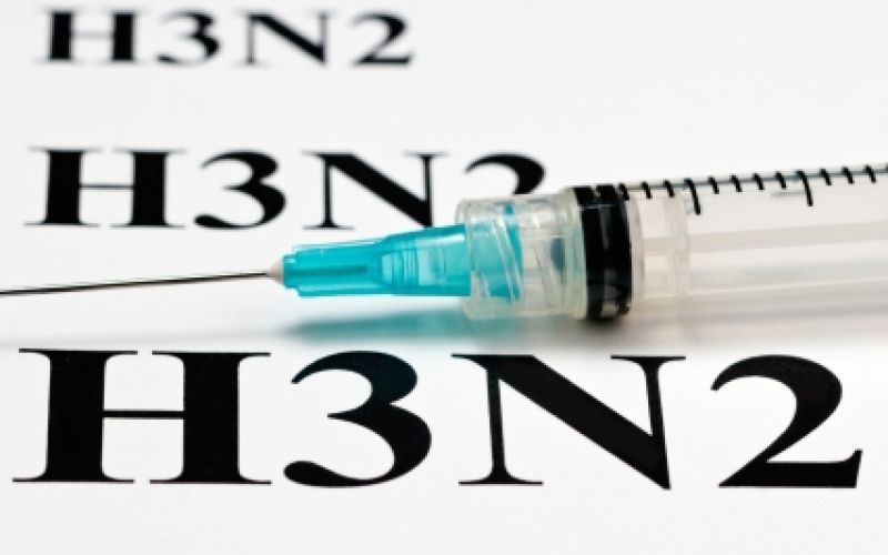 H3N2-flu.jpg