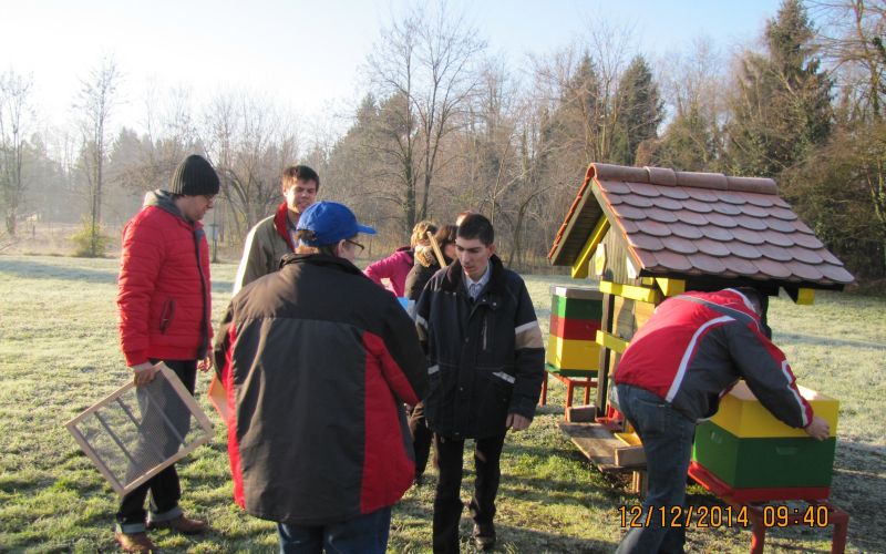 cebelarji_01.jpg