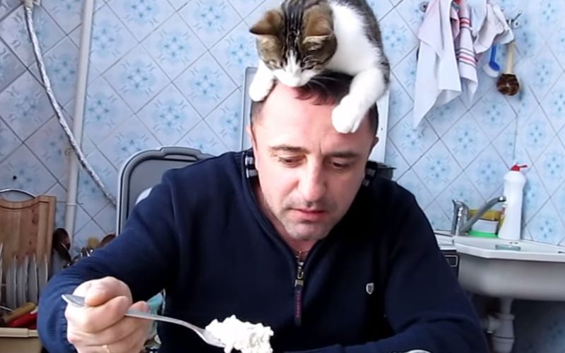 maček.jpg