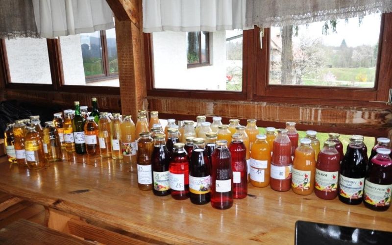 sokovi_za_ocenjevanje.jpg
