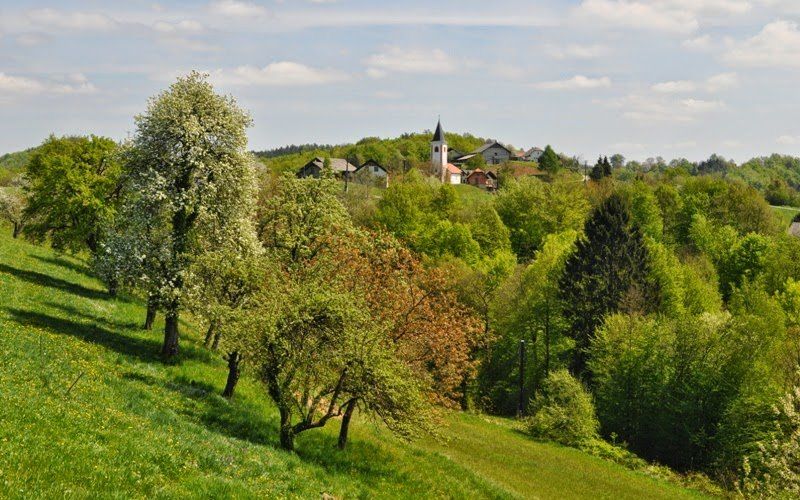 pohod_010__1_.jpg