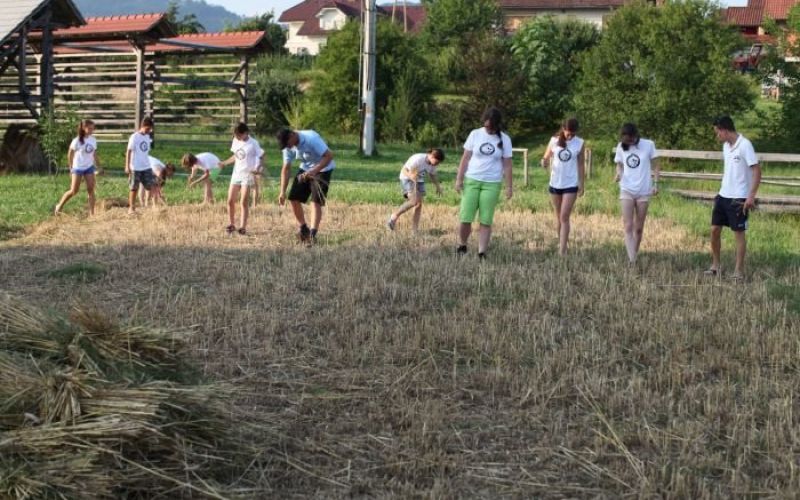 zetev_11.jpg
