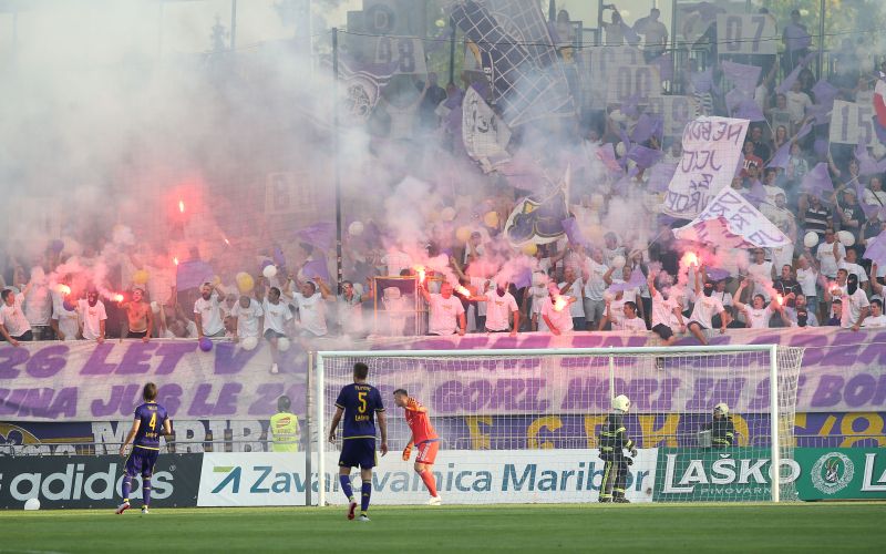 viole.jpg