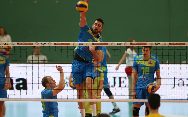 dane mijatovic.jpg