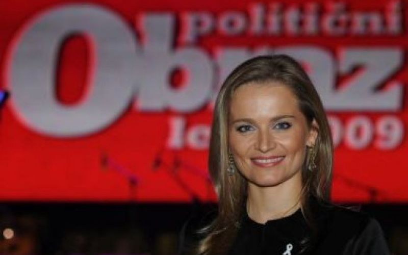 Politični obraz leta 2009