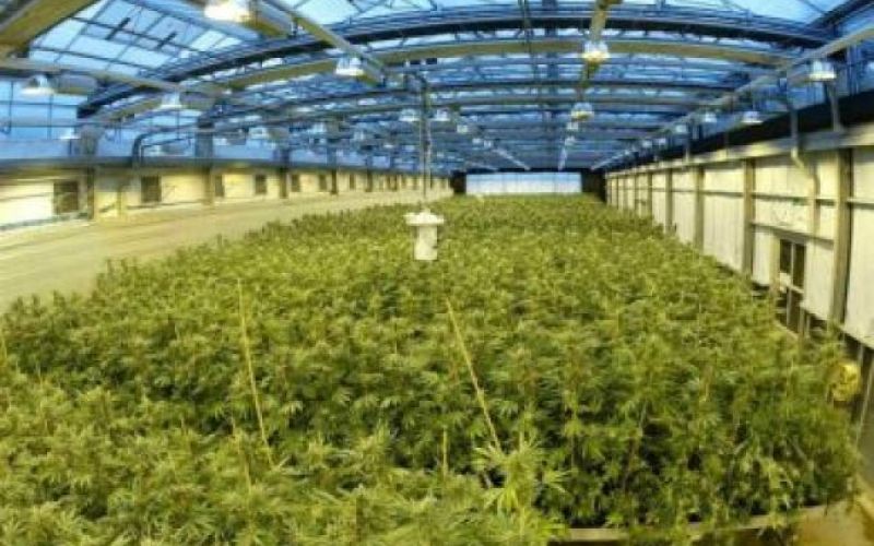 Marihuana na recept?