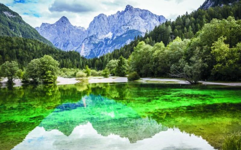 Plinovod – ne, hvala! 