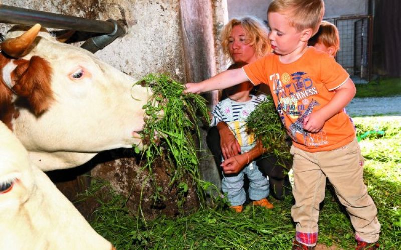 Varstvo otrok na kmetiji