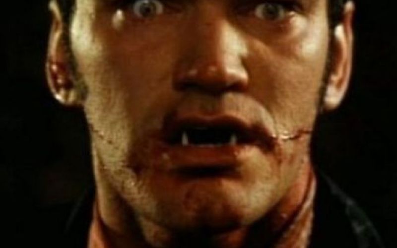 Iz TV-sporedov: petek, 27. maja