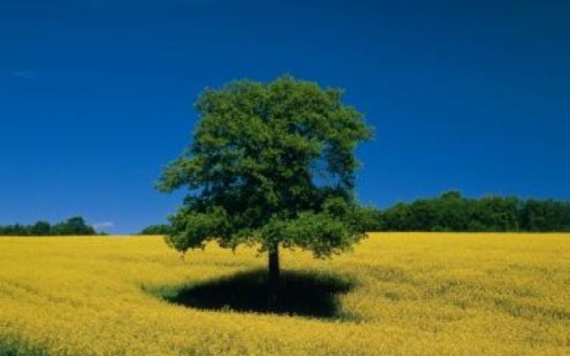 Nove oddaje o okolju na TV Slovenija