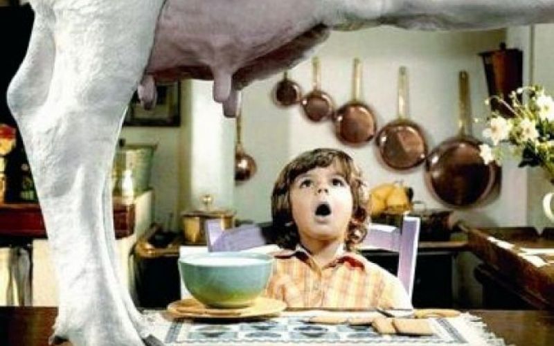 Pometanje s Kmetijo slavnih