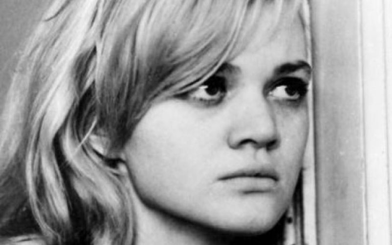 Iz TV-sporedov: ponedeljek, 2. avgust