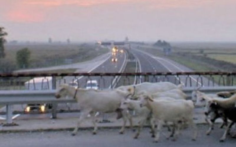 Iz TV-sporedov: četrtek, 29. april