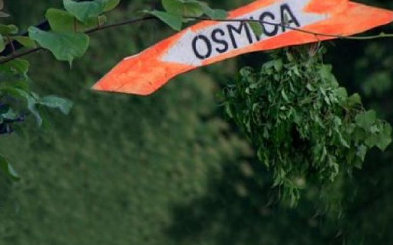 Iz TV-sporedov: torek, 7. decembra