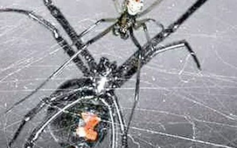 Vem, da nič ne vem!