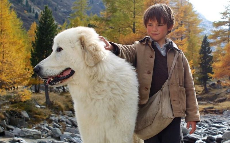 Slinasti, kosmati, slavni