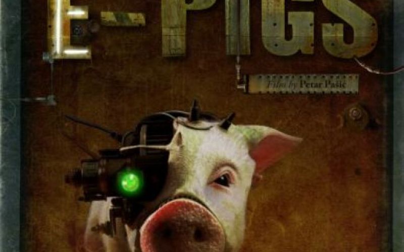 E-Pigs  nagrajen v Kaliforniji