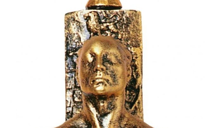 Nominacije za viktorje 2013